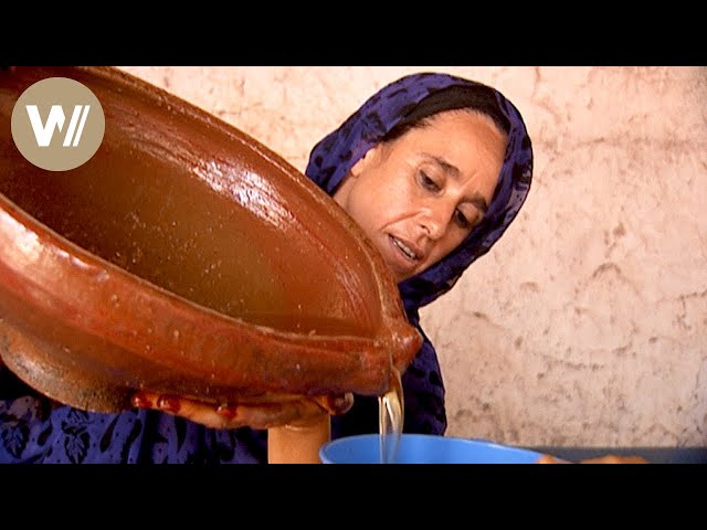 Arganöl: Wie das Wundermittel mehr Unabhängigkeit für Marokkos Berberfrauen bewirkt