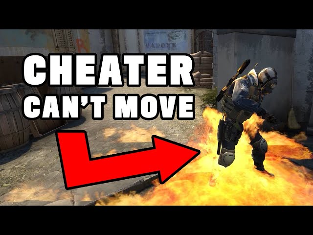 CSGO Cheaters trolled by fake cheat software