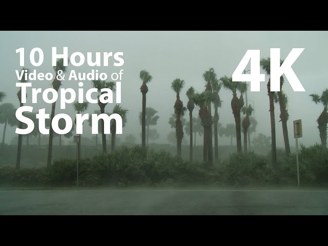 4K UHD 10 hours - Tropical Storm window for ambience - relaxation, meditation, nature