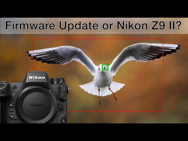 NIKON STRIKES BACK! Nikon Z9 autofocus update.