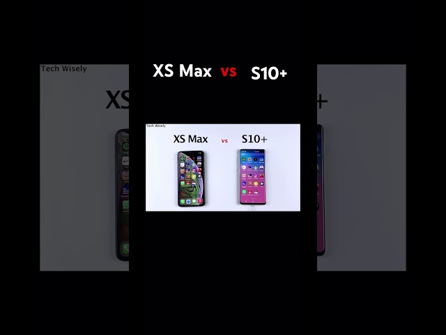 XS Max vs S10+ #shorts #short #samsung #samsunggalaxy #vs #apple #appleiphone #trending #fyp #viral