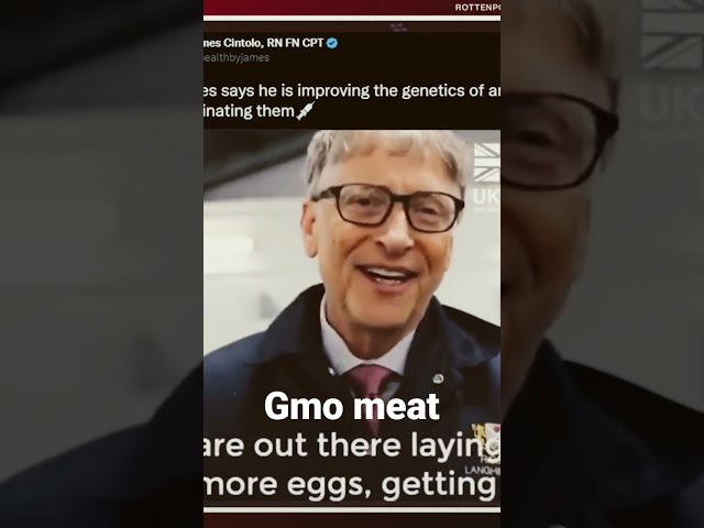 GMO UK meat
