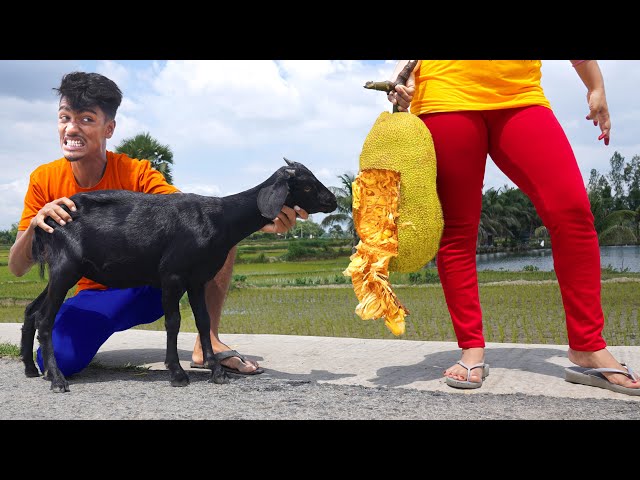 Very Special Funniest Fun Comedy Video 2023😂amazing comedy video 2023 Episode 124 By Fun Tv 420