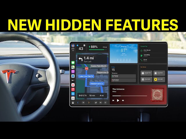 MASSIVE UPDATE New Hidden Features! | Tesla Model 3 + Model Y