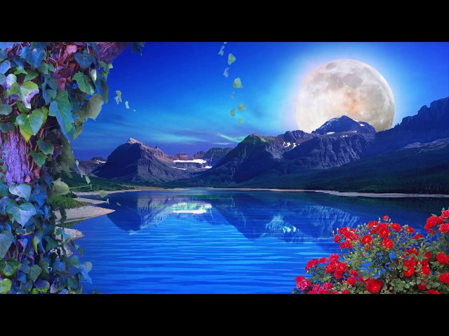 Nature Background Loop || Free Background || HD || 60 fps