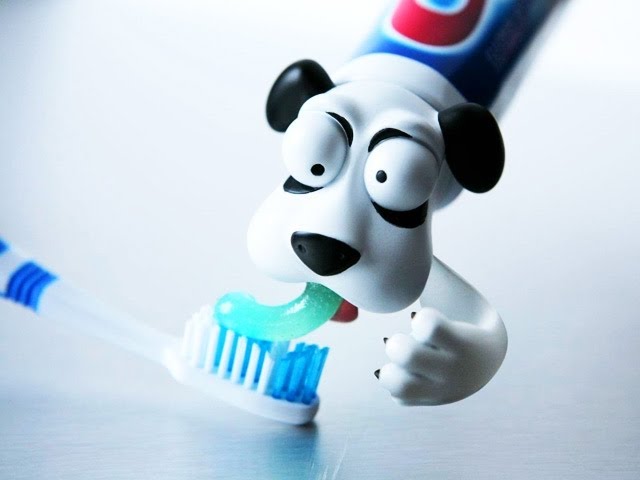 Dog BARF Toothpaste -- LÜT #31