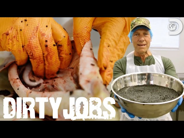 Mike Rowe Harvests Mississippi Caviar | Dirty Jobs