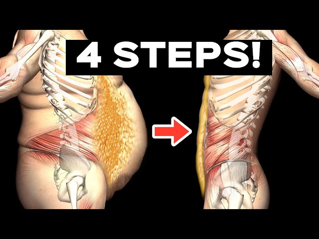 How To Lose Belly Fat| Lose Weight in 4 steps? (Based on Science）