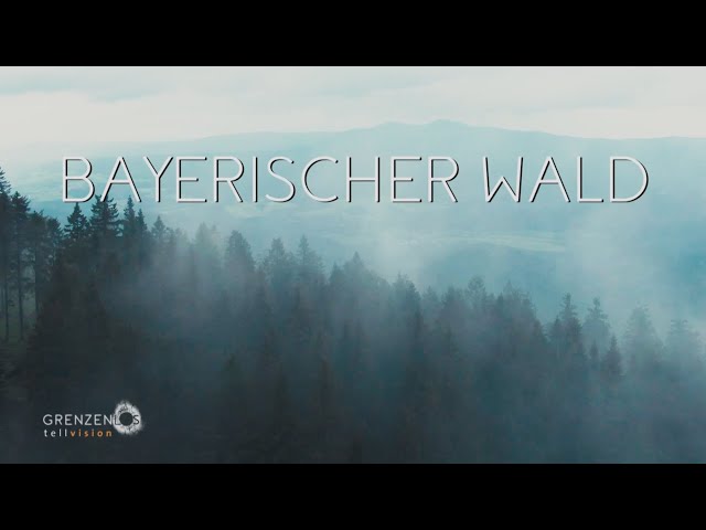 "Grenzenlos - Die Welt entdecken" im Bayerischen Wald mit Nina Heinemann