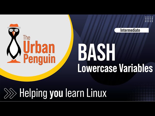Mastering Bash: Utilizing declare -l to Handle Lowercase Variables Enhancing Script Input Processing
