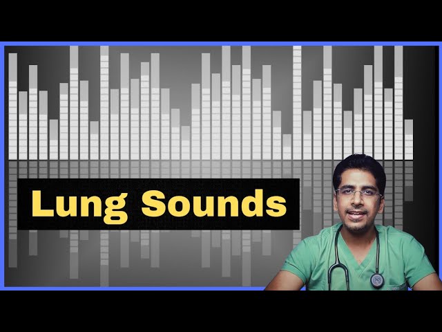 Lung Sounds- Normal & Abnormal (crackles, wheeze, stridor) | Use headphones