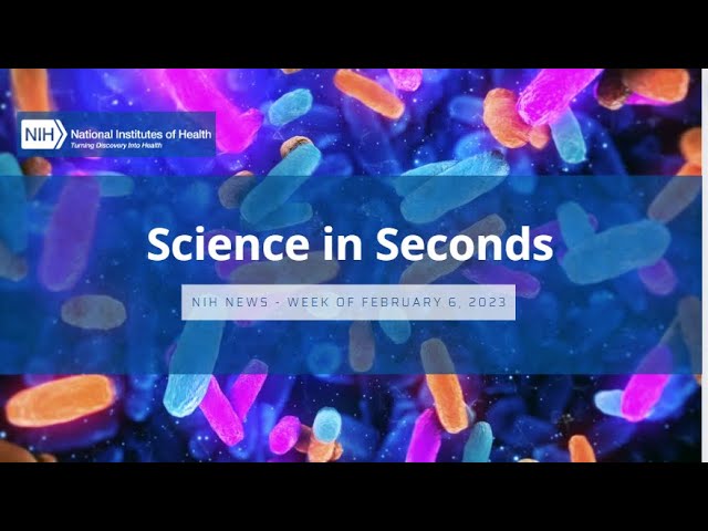 NIH Science in Seconds – Week of February 6, 2023