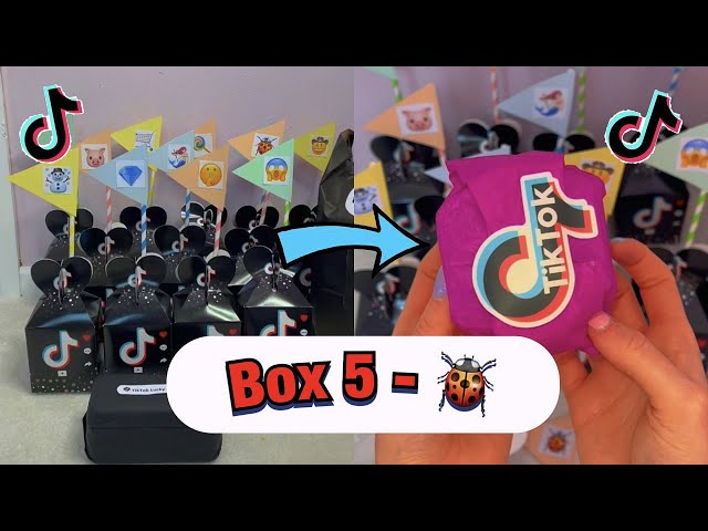 TikTok Mystery Boxes - BOX 5!🐞 *asmr* #Shorts