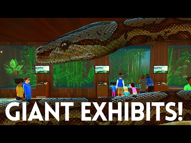 Making GIANT Exhibits for a Reptile House