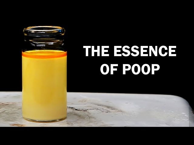 Making skatole - The essence of poop