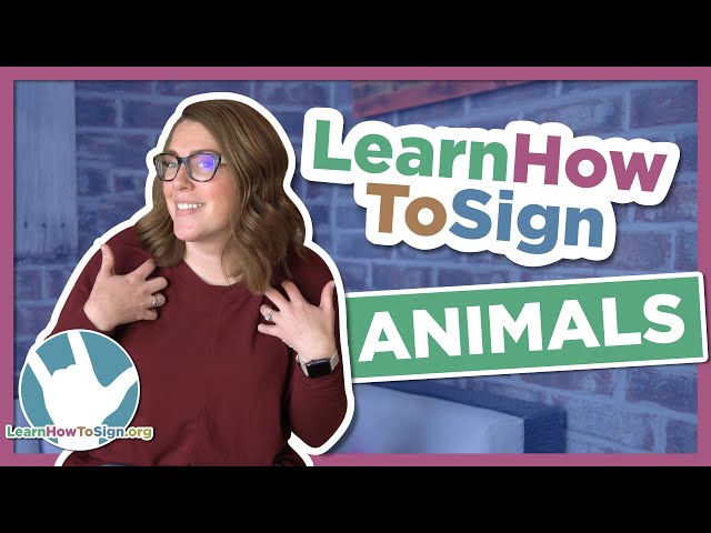 Learn How to Sign Animal Signs in ASL