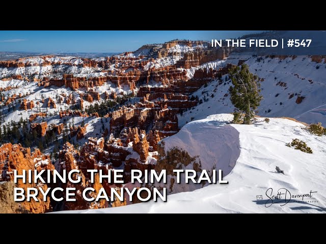Hiking The Rim Trail, Bryce Canyon National Park - In The Field #547