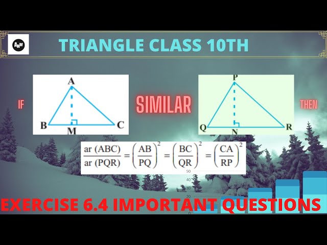 Triangle Hindi | Triangles Class 10 | Class 10 Maths Chapter 6 | Full Chapter/Introduction/Theorem