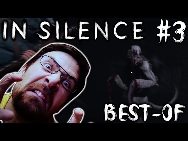 IN SILENCE #3 ft. Zerator, Antoine Daniel, Baghera, Mynthos & AngleDroit ! (Best-of Twitch)