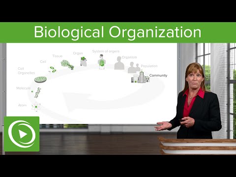 Cell Biology | Medical Education Videos