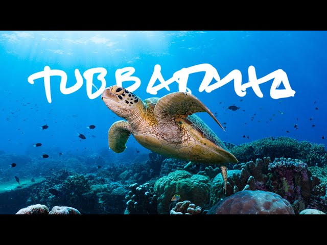 "Where it All Began" - Tubbataha Reefs, Philippines // Life, Uncharted Ch.01 [Documentary]