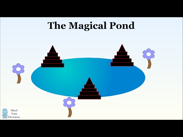 Can You Solve The Magical Pond Puzzle?