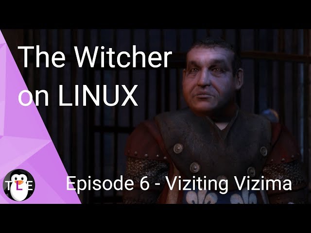 The Witcher on LINUX - Part 6 - Viziting VIzima (and some weird camera angles)