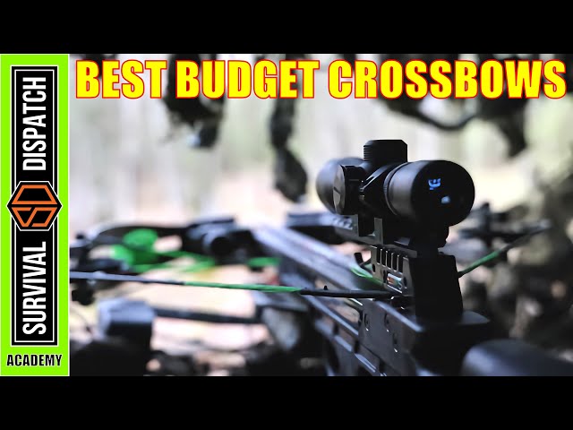 Top Affordable Crossbows for 2024