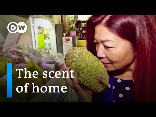 Little Hanoi in Berlin - A scent of home for Vietnamese expats | DW Documentary