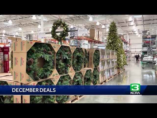 Consumer Reports: What to buy in December 2023