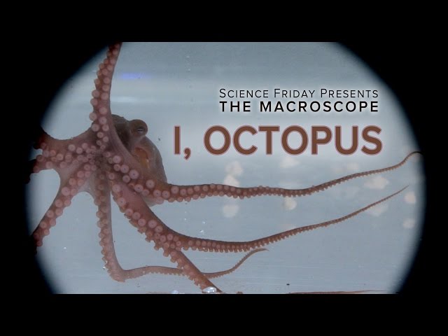 I, Octopus