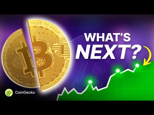 Crypto’s LATEST: Where NEXT After Bitcoin ATH, Signs of Market Weakness?!
