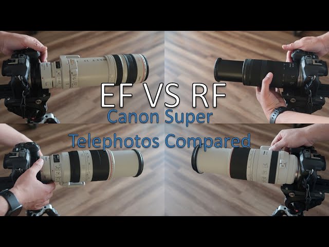 EF vs RF: Comparing 100-400/500mm Telephoto Lenses on Canon’s R Series Cameras