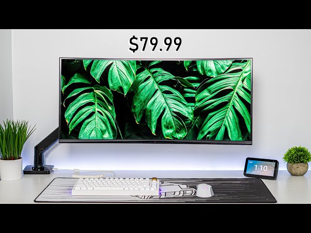 Best $80 Monitor Desk Arm Mount