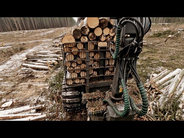 Forwarding Some Spruce Logs  With JD 1010G 4K