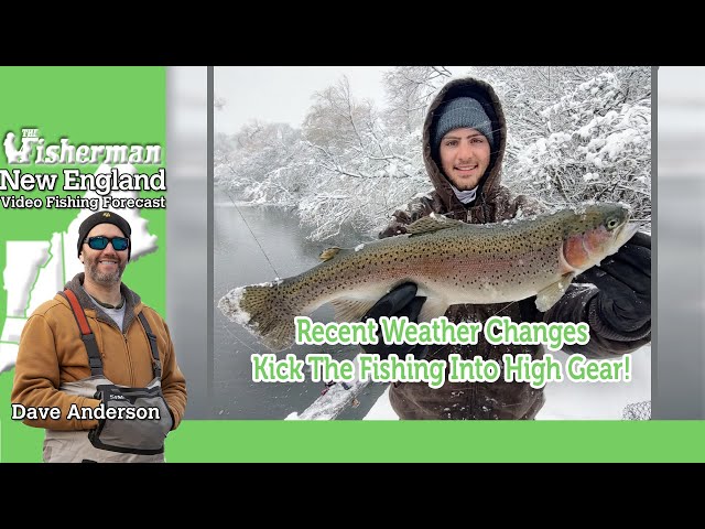 February 15th 2024 New England Video Fishing Forecast with Dave Anderson