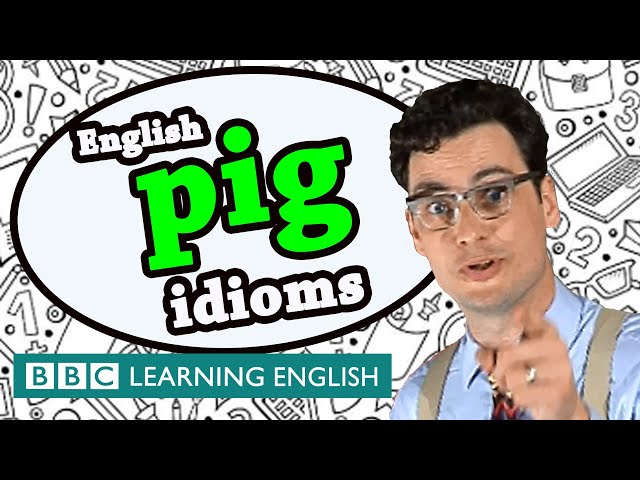 Pig idioms - Learn English idioms with The Teacher