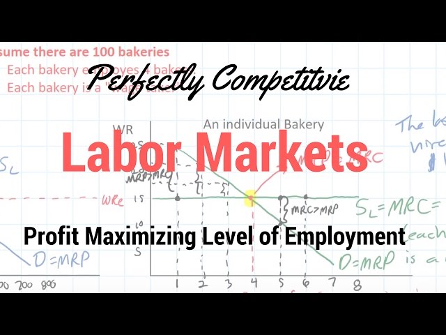 Labor Markets - Changes in the Profit Maximizing Level of Employment