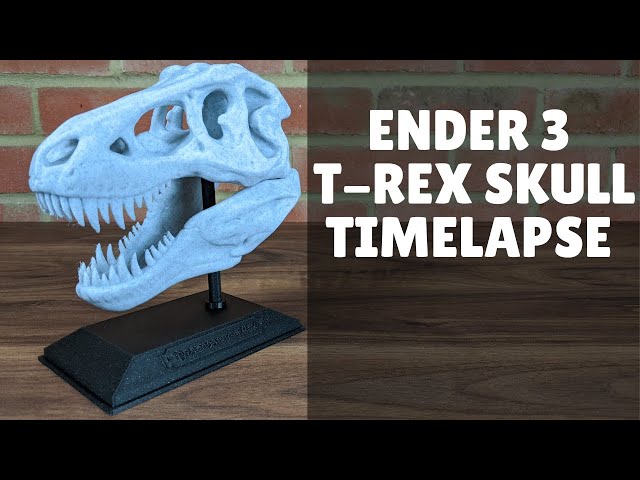 Ender 3 T-Rex Skull Timelapse
