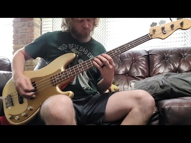 blink 182 - dammit (bass cover) skating network