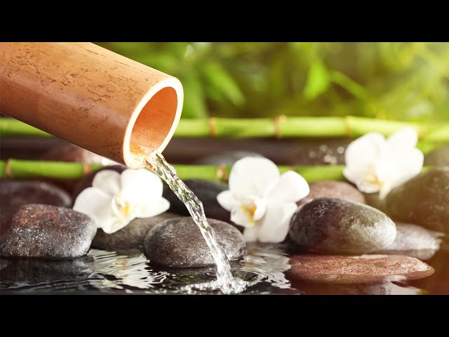 Bamboo Water Fountain Healing Music • Meditation Music, Yoga, Sleep, Spa