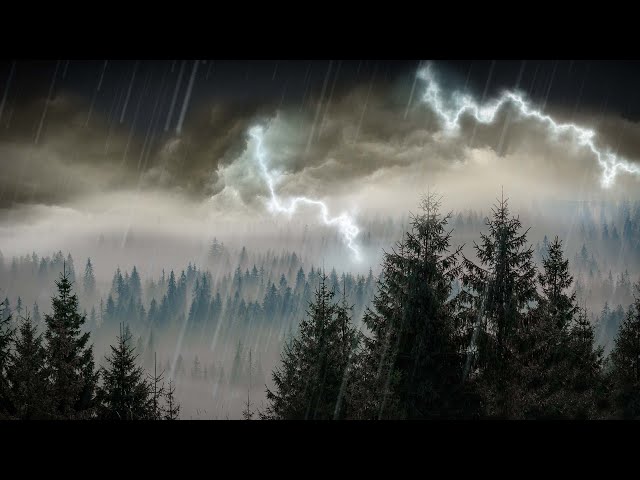10 Hours Rain & Thunder | Rainstorm Sounds for Sleep, Studying or Relaxation | Nature White Noise