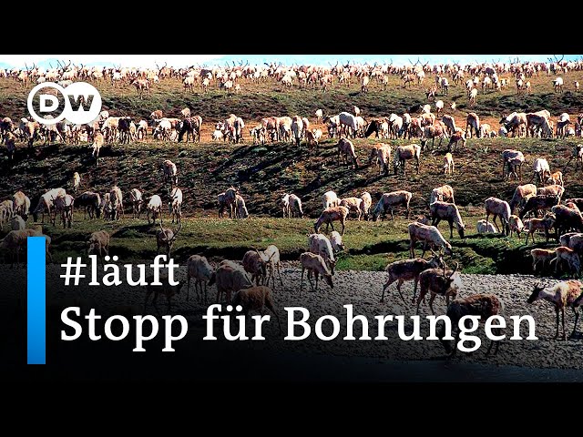 Stopp für Bohrungen +++Deutsche verzichten auf Flüge +++Bakterien gegen Minen I Positive Nachrichten