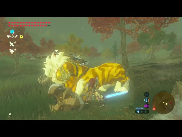 Miss Breath of the Wild Movement so Much 😭😕