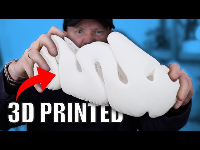I Can't Believe This 3D PRINTED Sneaker Is REAL!