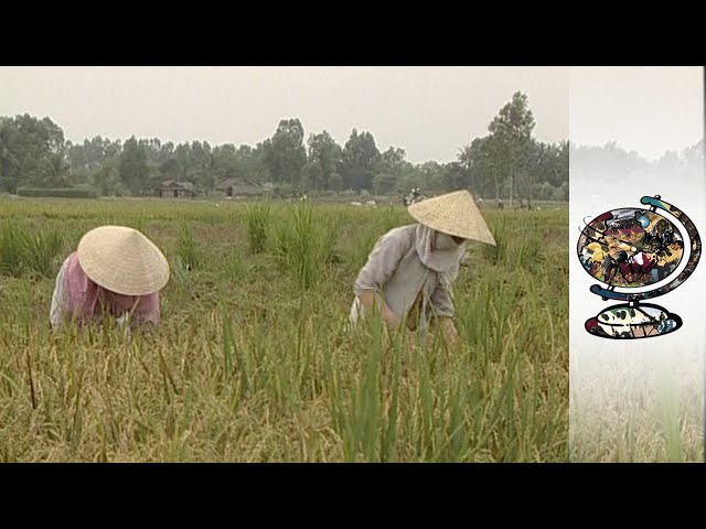 Vietnam Still Struggles 25 Years After The War (2000)