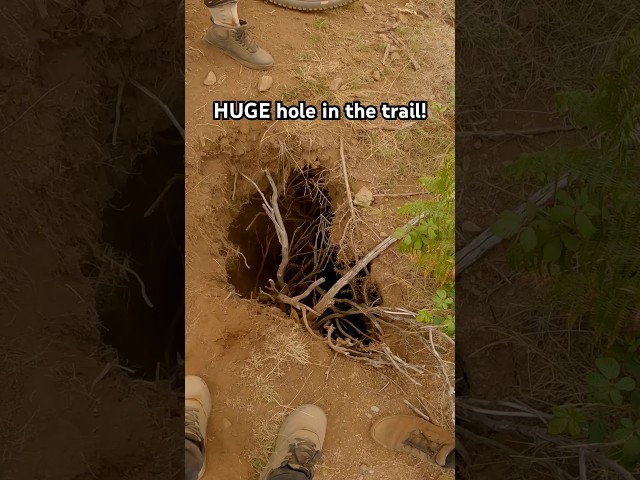 We didn't see this hole until it was too late... #mtb