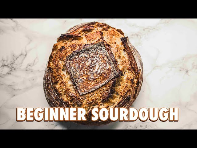 No Knead Beginner Sourdough Bread