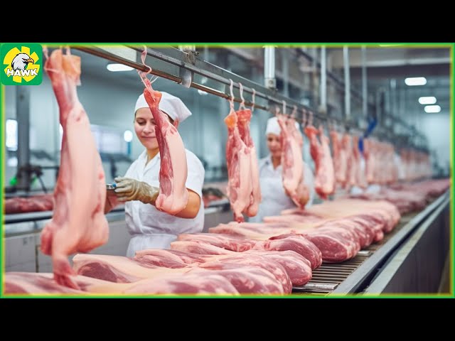 Pig Farming 🐷 How Farmers Raise and Process Millions of Free Range Pig | Farming Documentary