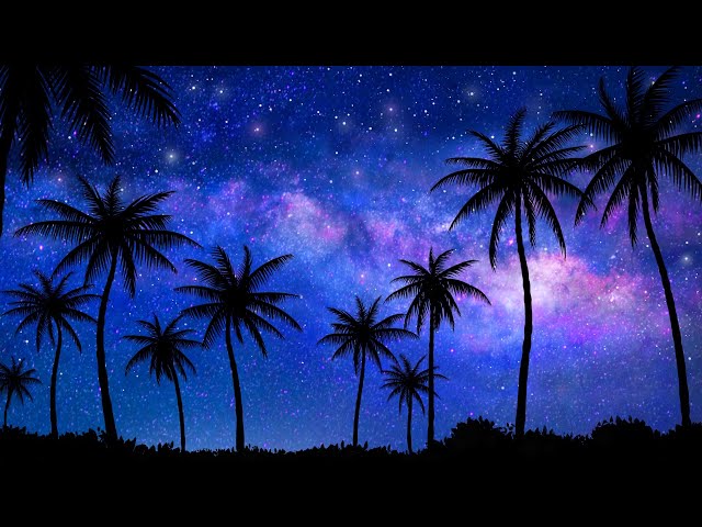 White Noise Sleeping Sounds with Black Screen | Starry Night in Palm Springs
